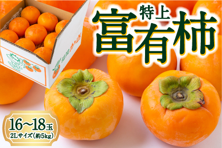 逸品富有柿 16玉から18玉 2Lサイズ (約5kg) [2026年11月下旬-2026年12月上旬発送予定] 柿 果物 フルーツ うきは市