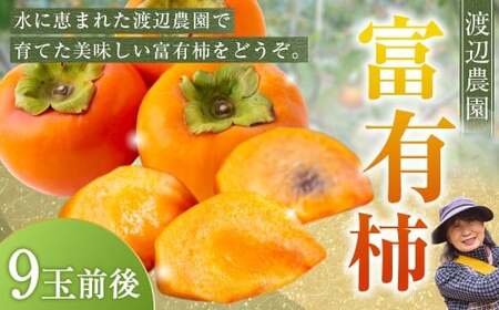 【先行予約】渡辺農園 富有柿 9玉前後 2026年11月下旬から12月上旬 出荷予定