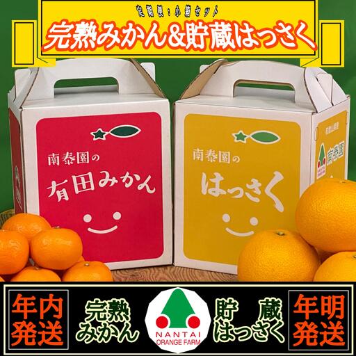 《みかんは年内発送》定期便 手さげ箱 セット 完熟早生 有田みかん ＆ はっさく 全2回 南泰園