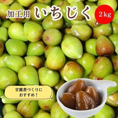 生いちじく 果物 北限のいちじく ホワイトゼノア 生いちじく【2kg】