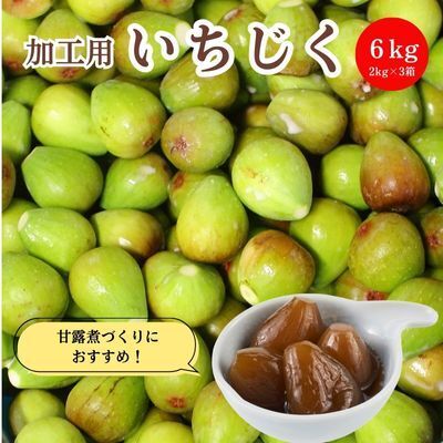 生いちじく 加工用 北限のいちじく[ホワイトゼノア 秋田県産 ][6kg(2kg×3)]