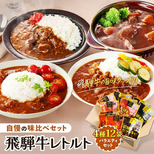 飛騨牛レトルト4種12袋セット カレー | カレー  ビーフシチュー  DC002VC13