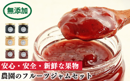 自家栽培 フルーツジャム 詰め合わせ セット （ 3種類 x 2個 ） 6個 入 | フルーツ 果物 くだもの いちご 苺 ブルーベリー 桃 もも ストロベリー ピーチ ジャム レモン 果汁 無添加 奈良県 五條市 西岡農園 安心 安全 果肉 濃厚 贅沢 新鮮 低農薬栽培 お取り寄せ 送料無料 農家直送 産地直送 フレッシュ 食べ比べ