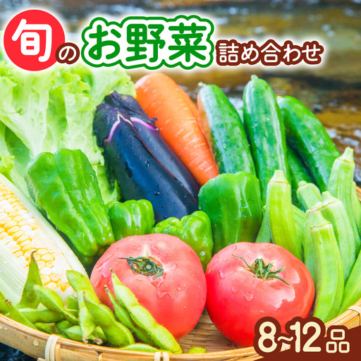 阿波の国海陽町 旬のお野菜詰め合わせセット8-12品