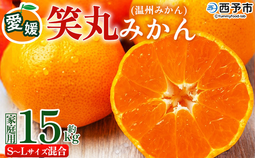 ＜愛媛県明浜産 笑丸みかん（温州みかん）約15kg S～L混合＞ 家庭用 訳あり ワケアリ 果物 くだもの フルーツ ミカン 柑橘 特産品 笑丸 愛媛県 西予市【常温】『2026年11月中旬～2027年1月上旬迄に順次出荷予定』AAN0027