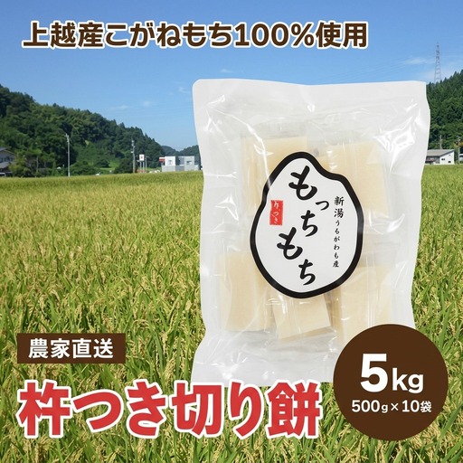 【数量限定】もっちもち 切り餅 こがねもち100% 10袋100個 切り餅