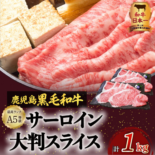 【 訳あり 】 A5 等級 黒毛和牛 サーロイン 大判 スライス 500g × 2P K002-032 肉 牛肉 冷凍