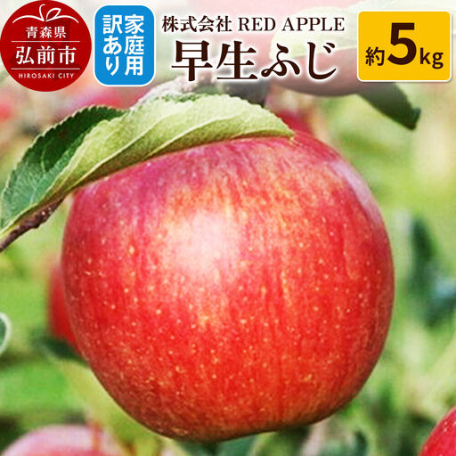 【26年10月発送】りんご【訳あり】家庭用 早生ふじ 約5kg 先行受付