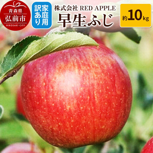【26年10月発送】りんご【訳あり】家庭用 早生ふじ 約10kg 先行受付