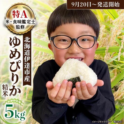 令和7年産 ゆめぴりか精米 5kg 生産者直送 北海道伊達産 | 北海道のブランド米 もっちり食感 冷めても美味しい