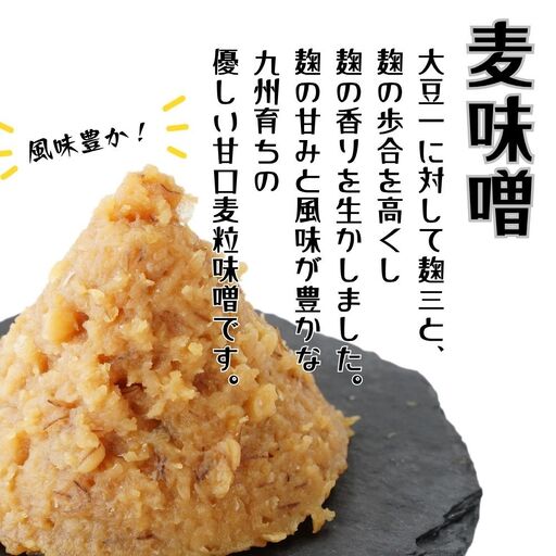 味噌 昭和の町麦味噌4kg | 豊後高田市