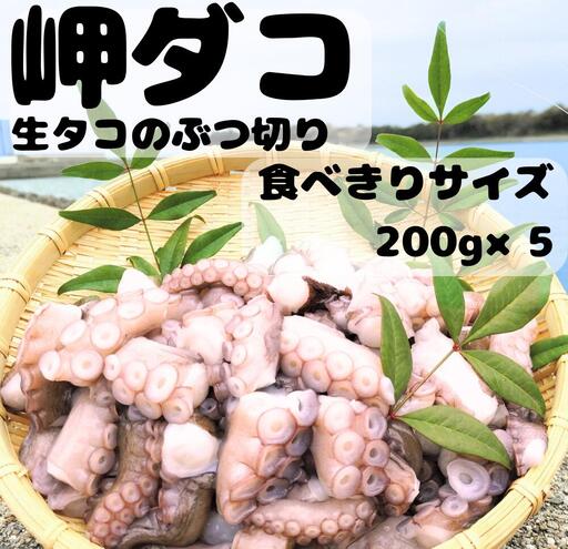 修福丸ん岬たこ 生たこぶつ切り食べきりサイズ(200g×5袋)