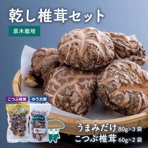 乾し椎茸セット【大分県新ブランドうまみだけ80g×3袋、こつぶ椎茸60g×2袋】 | 豊後高田市 しいたけ