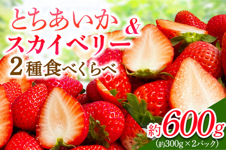 [先行予約] 日光産 とちあいか＆スカイベリー 約300g×各1パック 計600g 【2027年1月中旬から順次発送】 [0971]