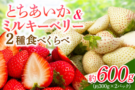 [先行予約] 日光産 とちあいか&ミルキーベリー 約300g×2パック 計約600g [2027年1月中旬から順次発送] [0972]