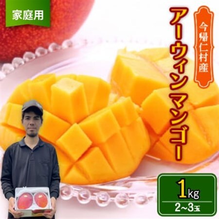 【2026年6月から順次発送・家庭用】仲本マンゴー園のアーウィンマンゴー1kg(2～3玉)【配送不可地域：離島】【1439395】