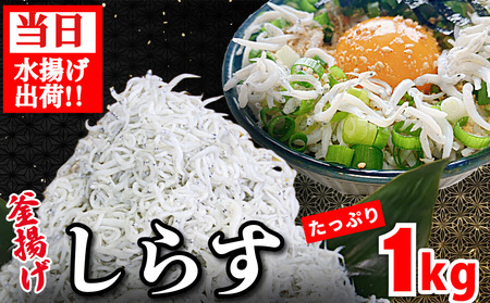 しらす 釜揚げ 1kg (250g × 4袋)  5月~12月中旬発送 しらす