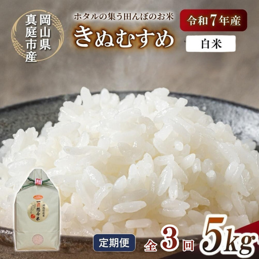 ＜定期便全３回＞ 米 岡山県産精米 令和7年産きぬむすめ白米５kg×３回 【tkns-tkb013-cho】