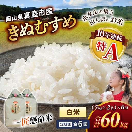 ＜定期便全６回＞ 米 岡山県産精米 令和8年産きぬむすめ白米10kg(5kg×2袋)×６回定期便 【tkns-tkb017】