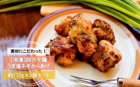うま塩 ネギ からあげ 約170g×5袋 からあげ からあげ からあげ からあげ からあげ [1613]