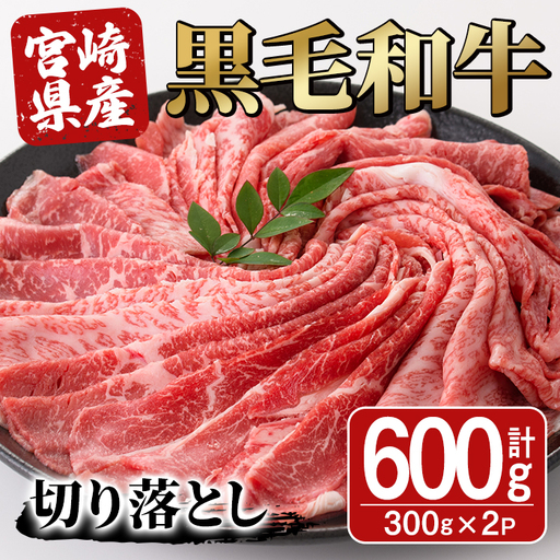 宮崎県産黒毛和牛切り落とし(600g・300g×2P)[SJ009][日本ハムマーケティング株式会社]