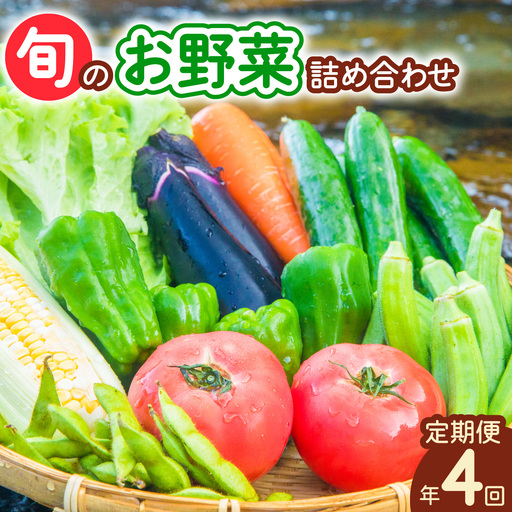 【定期便年4回】阿波の国海陽町 旬のお野菜詰め合わせセット 8～12品×4回 野菜 定期便 野菜定期便 年4回 徳島県 海陽町産 野菜セット 季節の野菜 詰め合わせ おまかせ