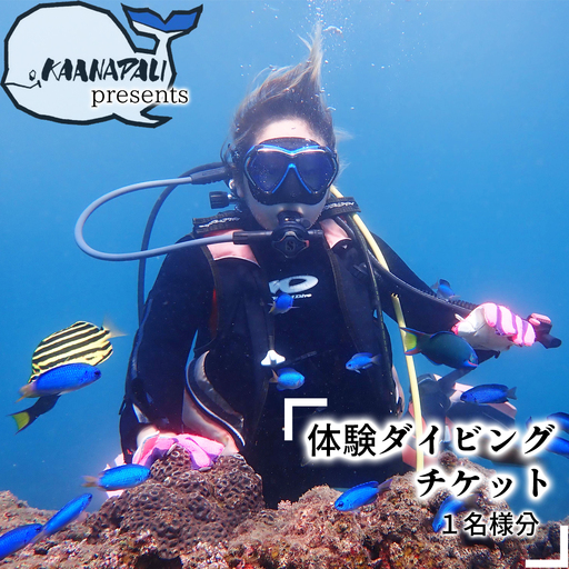 徳島最南端の海で体験ダイビング!