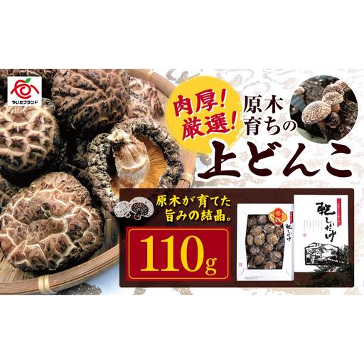 肉厚・厳選!原木育ちの上どんこ110g|栃木県 矢板市 しいたけ 椎茸 産地直送