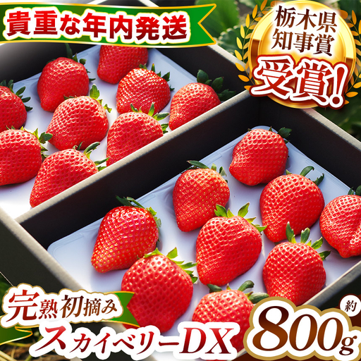 [先行予約][数量限定] 貴重な12月発送!完熟朝摘みスカイベリー デラックス 800g