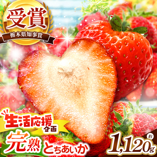 いちご 栃木の新定番 「とちあいか」 1,120g (280g×4P)| 澳原いちご農園 栃木県 矢板市