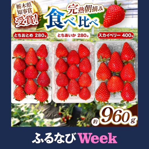 【ふるなびWEEK対象】【先行予約】[数量限定] 貴重な12月発送！贅沢な栃木のいちご3種食べ比べセット 960g | とちあいか とちおとめ スカイベリー