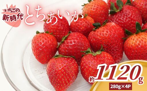 [2027年 先行予約]いちごの新時代「とちあいか」280g×4P(1120g)|栃木県 矢板市産