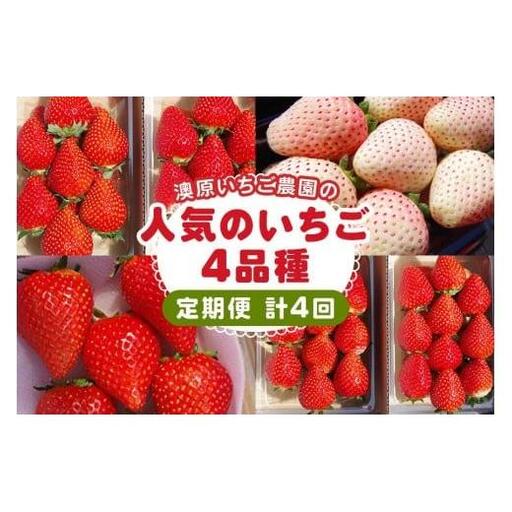 [先行予約] [4ヶ月連続定期便] 人気のいちご4品種お届け定期便 (毎月1品種お届け 計4回) 澳原いちご農園 | とちあいか とちおとめ スカイベリー ミルキーベリー 栃木県産 期間限定 数量限定