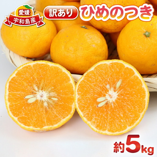 訳あり ひめのつき 5kg 杉本屋 柑橘 柑橘 B010-143007