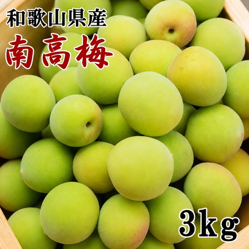【和歌山名産】 南高梅 3kg （サイズ混合） / フルーツ 果物 くだもの 食品 人気 おすすめ 送料無料 ※2027年6月上旬～6月下旬頃順次発送 ※北海道・沖縄・離島への配送不可【tec508-r-3A】