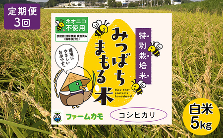 2025年10月上旬以降発送【定期便3回】雄踏ファームカモ産「特選みつばちまもる米」白米 5kg コシヒカリ（3ヶ月連続・合計15kg） お米 コメ ご飯 ライス 特別栽培米 検査米 1等米 静岡 浜松
