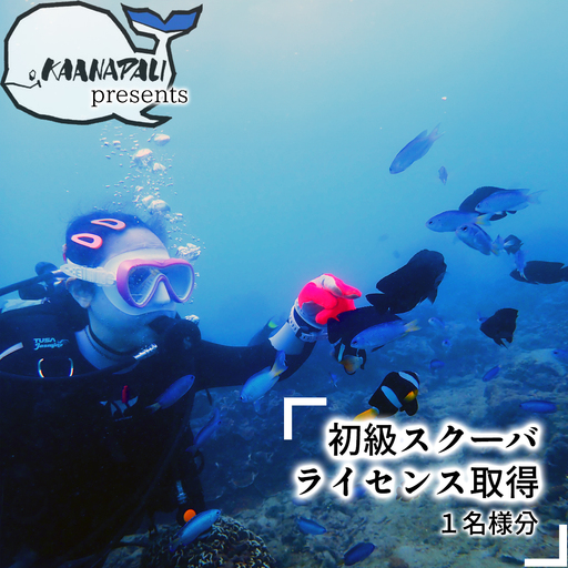 海陽町の海で初級スクーバダイビングライセンス取得！