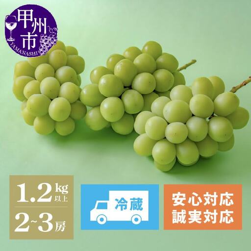 [数量限定]高品質なROOTS FARMシャインマスカット 1.2kg以上 2〜3房入[2026年発送](RO)B12-135 シャインマスカット フルーツ