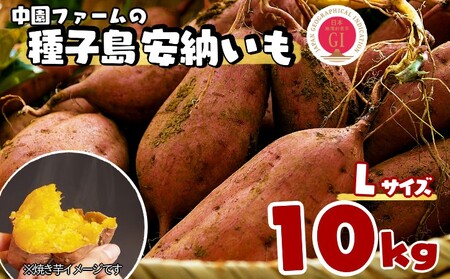 種子島 中園ファーム 種子島 安納いも ( 生いも ) Lサイズ 10kg　NFN060【525pt】 