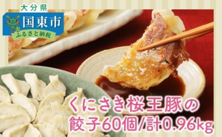 くにさき桜王豚の餃子60個/計0.96kg _1066R