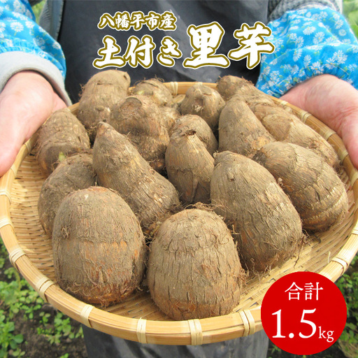 [2025年10月上旬から発送開始予定] 土付き 里芋 約1.5kg [福祉事業所 ポパイの家] / さといも 里いも サトイモ 期間限定 産地直送 岩手県産
