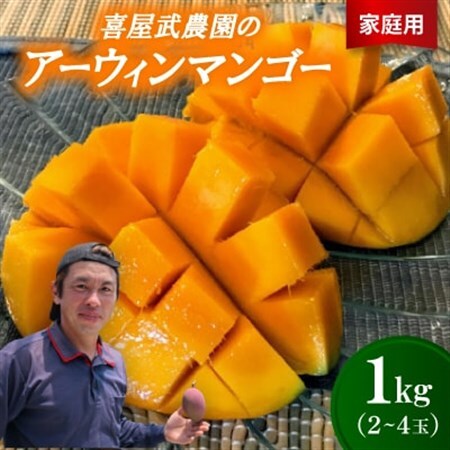 [2027年6月中旬から順次発送・家庭用]喜屋武農園のアーウィンマンゴー1kg(2〜4玉)[配送不可地域:離島]