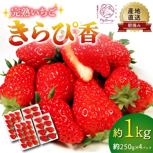 [2027年3月〜5月発送予定]いちご きらぴ香 約1kg いちご