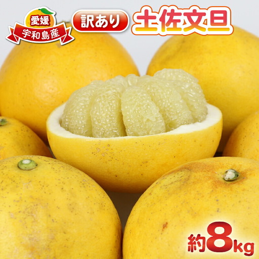 杉本屋 訳あり 土佐 文旦 8kg B010-143010 文旦