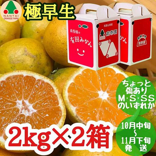 ちょっと 傷あり 極早生 有田 みかん M～SS サイズ 2kg × 2箱 手さげ箱 南泰園 和歌山 有田みかん