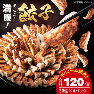 満腹餃子 リピーター続出！ボリューム満点！120個（３kg ）老舗 大容量 国産 焼き餃子 冷凍 ぎょうざ ギョーザ 冷凍餃子 簡単調理 惣菜 おかず おつまみ スタミナ 高評価 水戸市 茨城県（EJ-13）