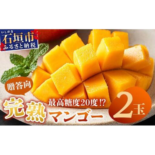 最高糖度20度！？ 完熟の極！石垣島マンゴー 2玉約800g《2027年6月中旬順次発送》【贈答向け】