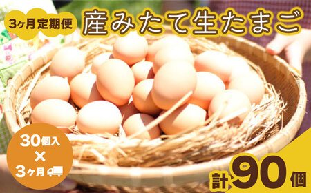 [3回定期便] 卵 計90個 卵
