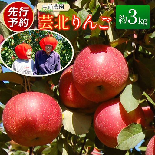 ≪10月中旬以降発送≫りんご 国産 3kg 農家直送 中前農園 芸北りんご 林檎 シナノスイート ぐんま名月 ジョナゴールド ふじ_NA099_001
