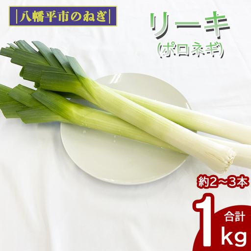 岩手県産 リーキ 1kg 【みのり風土】 ／ 西洋ねぎ ポロネギ ポワロ ポロ ポアロ リーク